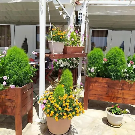 Pilic Ljiljana شقة بروداريكا