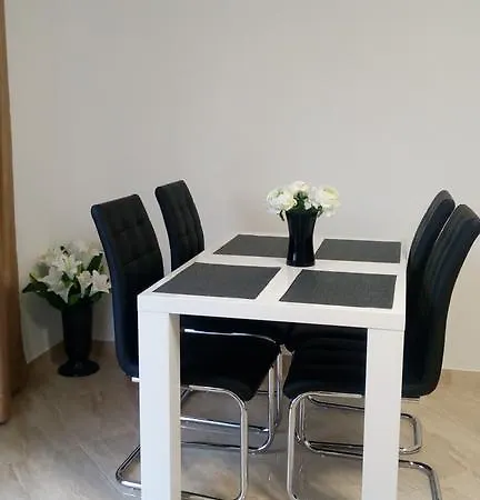 Pilic Ljiljana بروداريكا