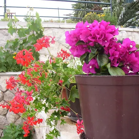 Apartman Pilic Ljiljana