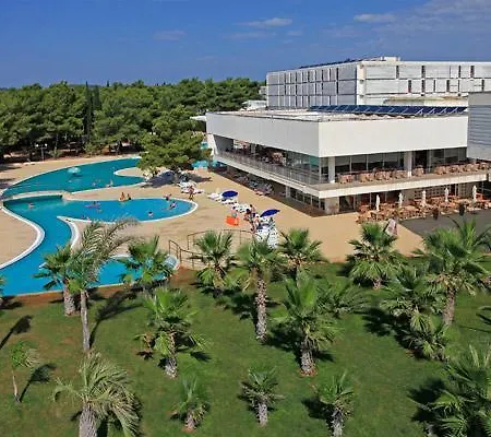 Pilic Ljiljana بروداريكا